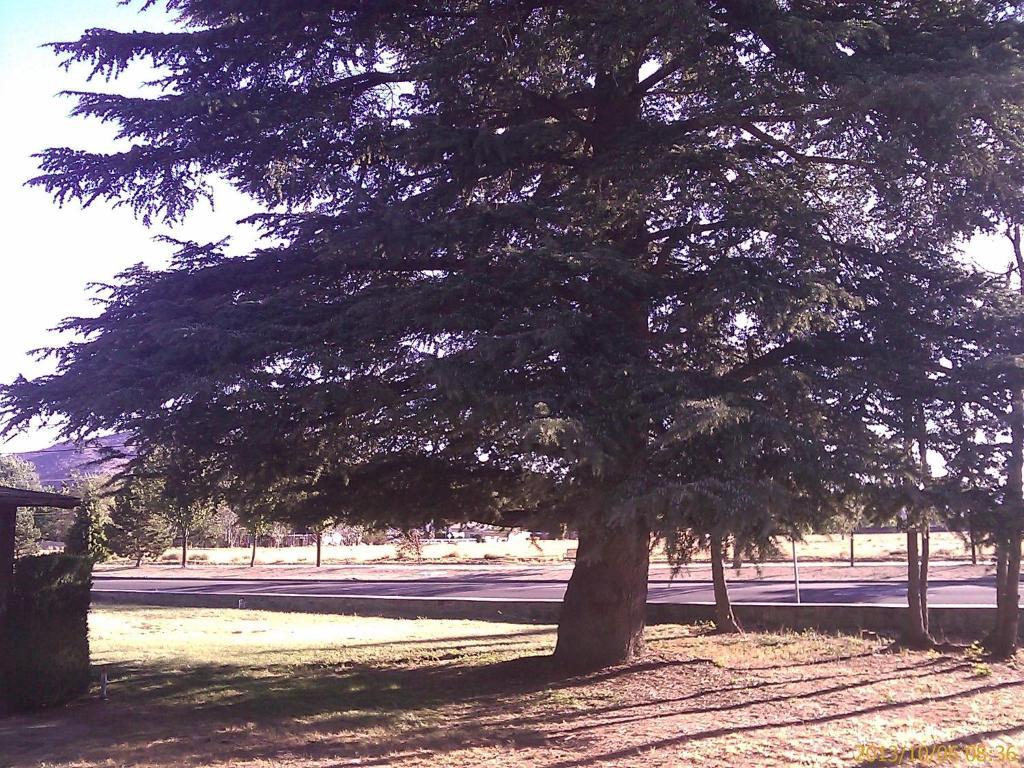 Ranch Motel Tehachapi Εξωτερικό φωτογραφία